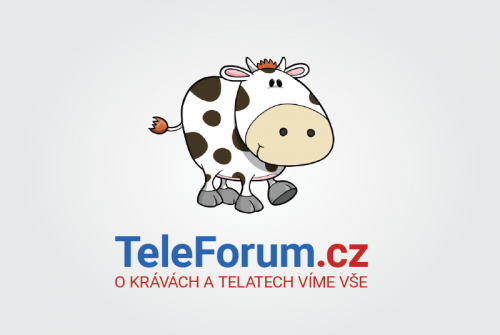 teleforum-fb-vetsi.png